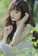 完美立异资本结构